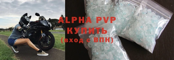 прущие грибы Липки