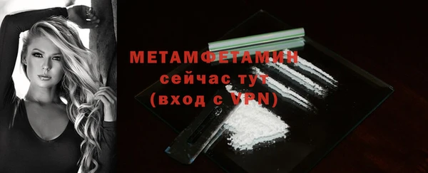 прущие грибы Липки