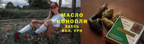 мдпв Ельня