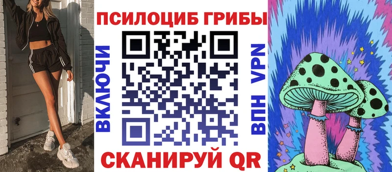 маркетплейс клад  что такое наркотик  blacksprut онион  Болохово  Псилоцибиновые грибы Magic Shrooms 